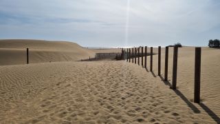 2023-GC--Mapalomas dunas-S123-265.jpg